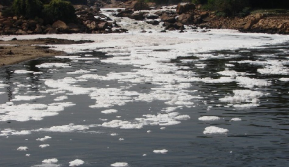 Banking and Financial