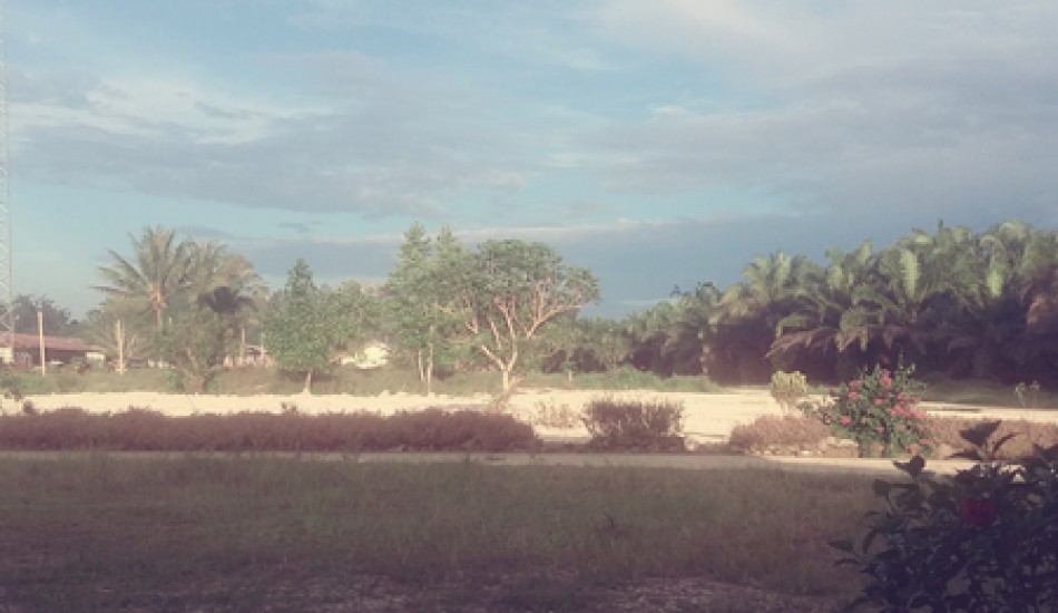 Banking and Financial